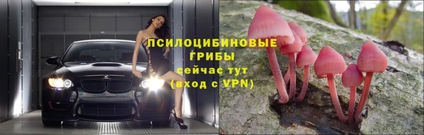 хмурый Алексин