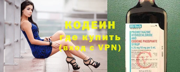 крисы Абаза