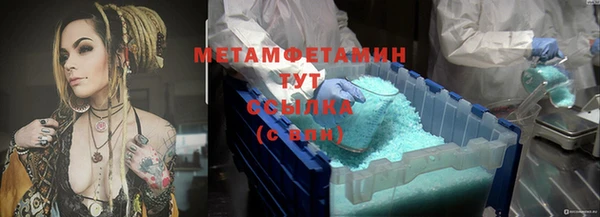 крисы Абаза