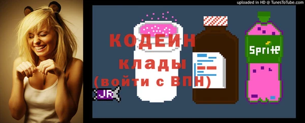хмурый Алексин