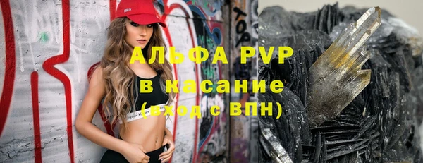 хмурый Алексин